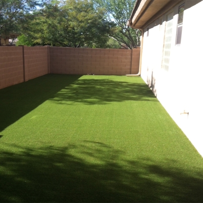 Synthetic Turf Garden Grove, California Design Ideas, Front Yard Landscape Ideas