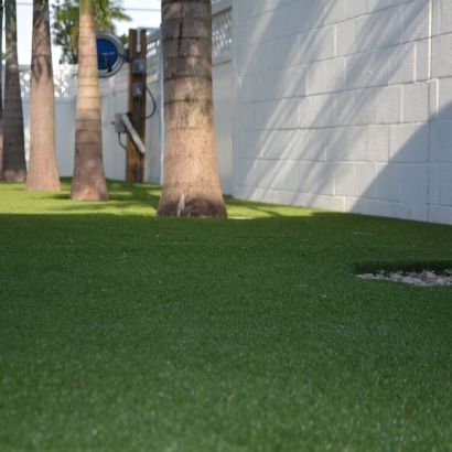 Synthetic Turf La Habra, California Home And Garden, Commercial Landscape