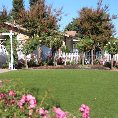 Synthetic Turf Ladera Ranch, California Lawn And Landscape, Front Yard Design