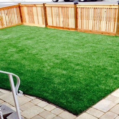 Synthetic Turf Laguna Niguel, California City Landscape, Backyard Garden Ideas