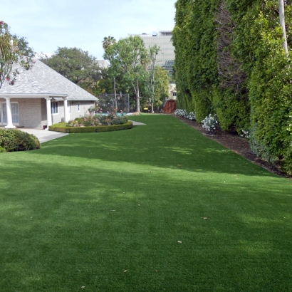 Synthetic Turf Newport Beach, California Backyard Playground, Small Front Yard Landscaping