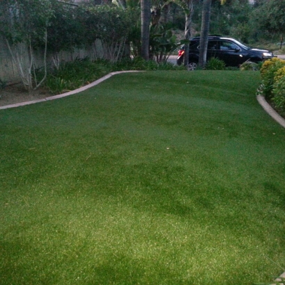 Synthetic Turf Supplier Las Flores, California Roof Top, Front Yard Design