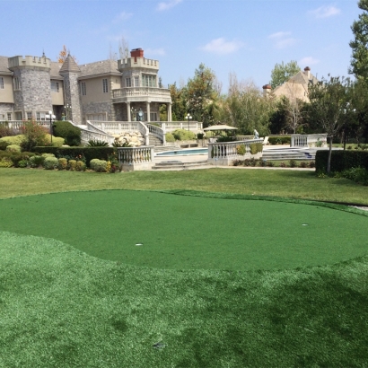 Synthetic Turf Supplier Mission Viejo, California Lawn And Garden, Landscaping Ideas For Front Yard