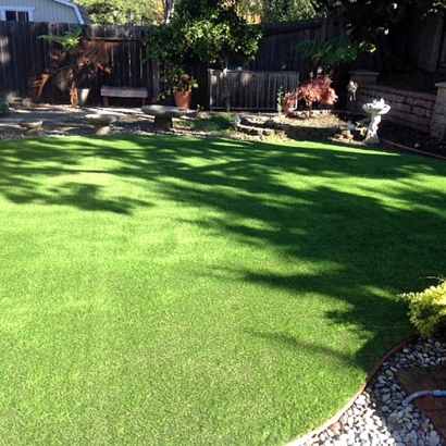 Synthetic Turf Supplier Placentia, California Grass For Dogs, Backyard Landscaping