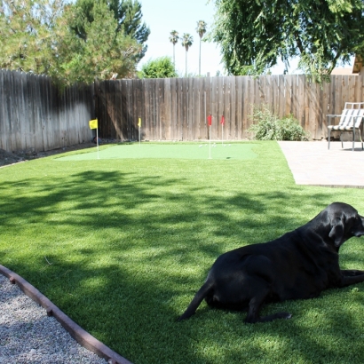 Synthetic Turf Supplier Portola Hills, California Garden Ideas, Backyard Landscaping