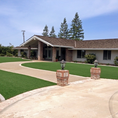Synthetic Turf Supplier San Joaquin Hills, California Design Ideas, Front Yard Landscaping Ideas