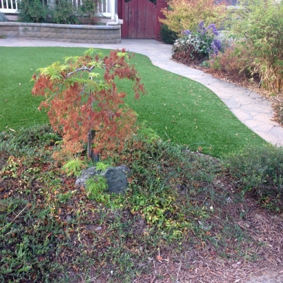 Synthetic Turf Supplier Trabuco Canyon, California Lawn And Landscape, Front Yard Landscape Ideas