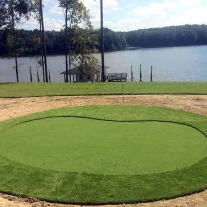 Synthetic Turf Supplier Westminster, California Backyard Playground