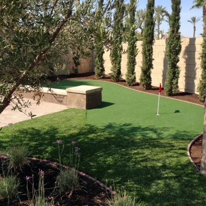 Synthetic Turf Villa Park, California Diy Putting Green, Backyard Garden Ideas