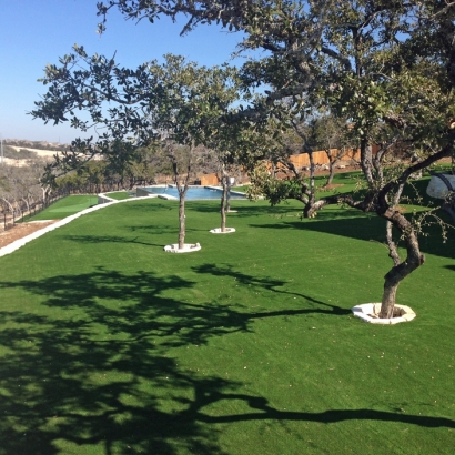 Turf Grass Garden Grove, California Backyard Putting Green, Backyard Pool