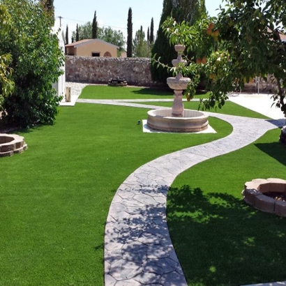 Turf Grass Laguna Niguel, California Landscaping Business, Backyard Landscape Ideas