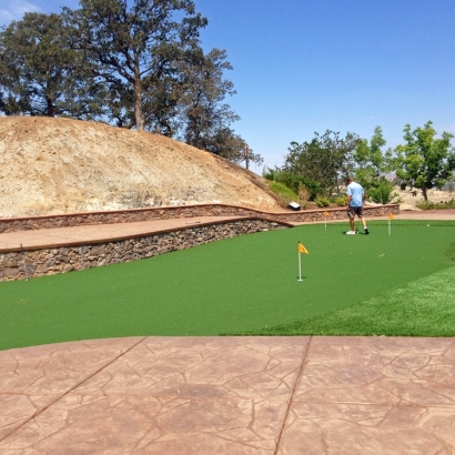 Turf Grass Laguna Woods, California Landscaping, Backyard Designs