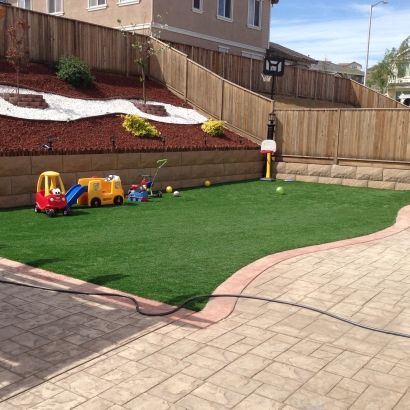 Turf Grass Newport Beach, California Indoor Playground, Backyard Designs