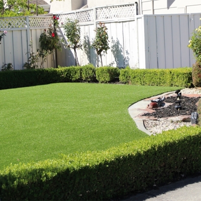 Turf Grass North Tustin, California Landscape Photos, Front Yard Ideas
