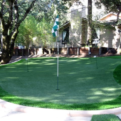 Turf Grass Placentia, California Putting Green, Backyard