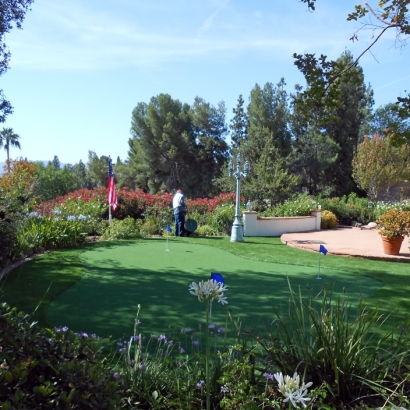 Turf Grass San Joaquin Hills, California Home And Garden, Backyard Landscape Ideas