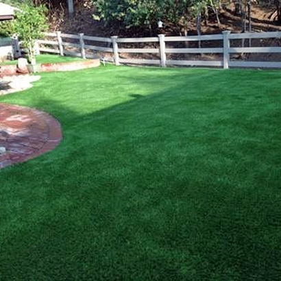 Turf Grass Tustin, California Pet Turf, Backyards