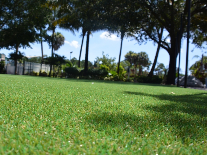 Artificial Grass Buena Park, California Lawn And Garden, Parks