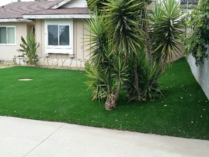 Artificial Grass Carpet Brea, California Paver Patio, Front Yard Ideas