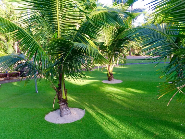 Artificial Grass Carpet Cypress, California Roof Top, Commercial Landscape