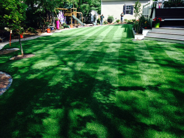 Artificial Grass Carpet Dana Point, California Landscape Design, Backyard Makeover