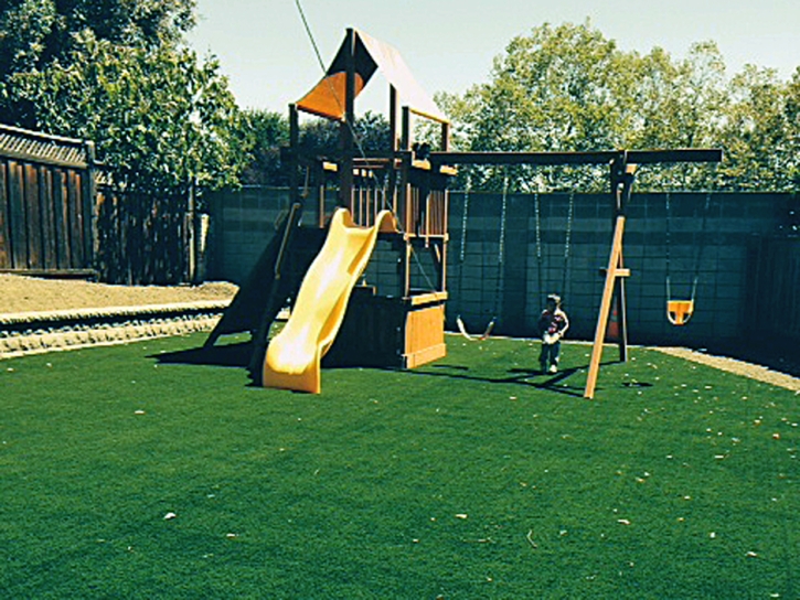 Artificial Grass Carpet Fullerton, California Landscaping Business, Backyard Makeover