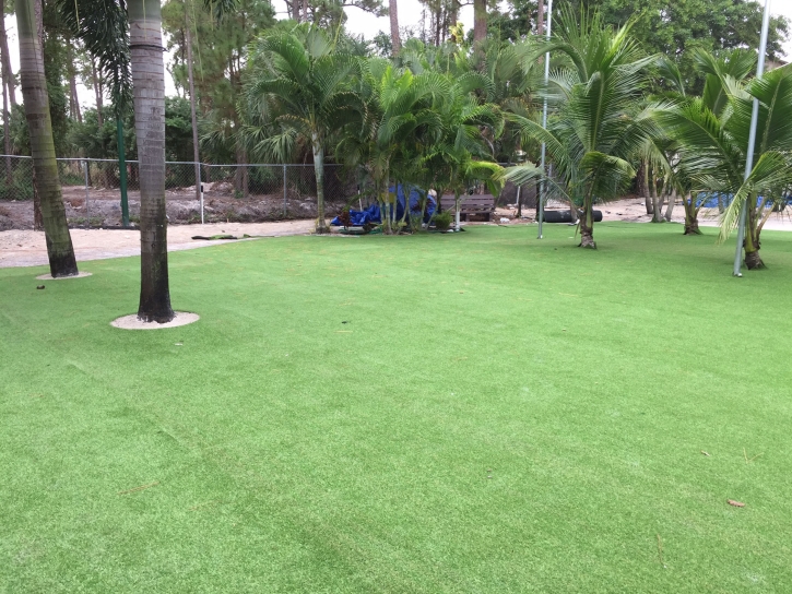 Artificial Grass Carpet Laguna Hills, California Roof Top, Commercial Landscape