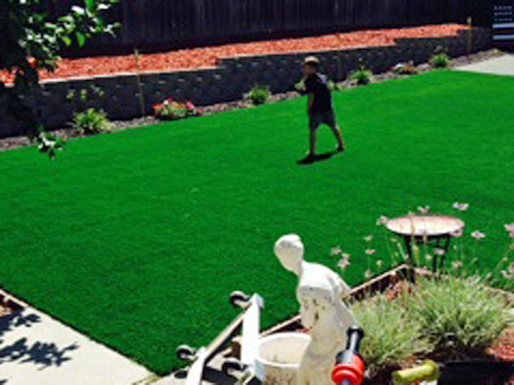 Artificial Grass Carpet Lake Forest, California Landscape Ideas, Beautiful Backyards