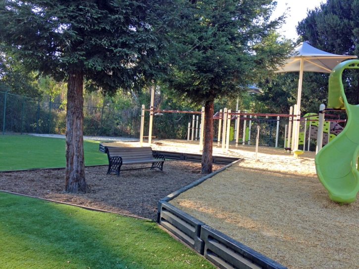 Artificial Grass Carpet North Tustin, California Playground