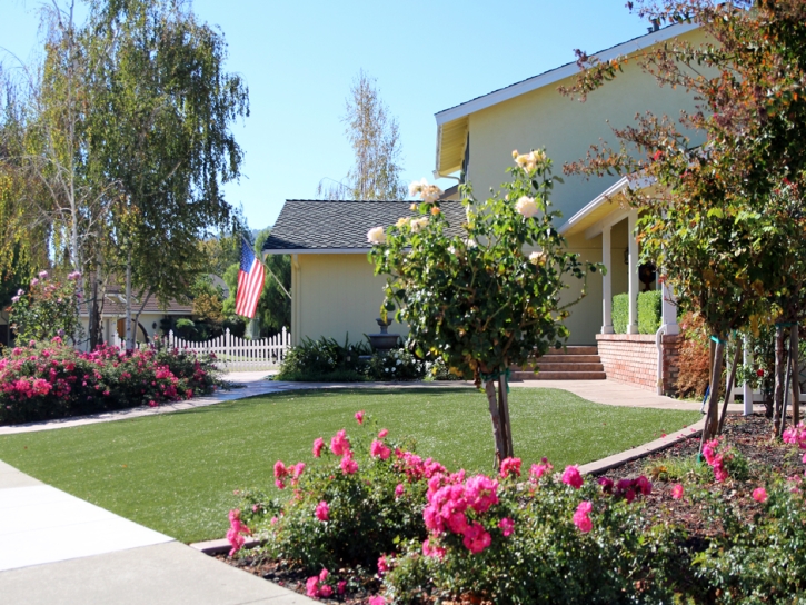 Artificial Grass Carpet Rancho Santa Margarita, California Backyard Playground, Front Yard