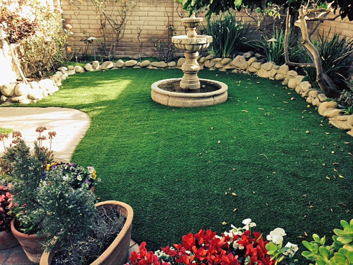 Artificial Grass Carpet San Joaquin Hills, California Landscape Ideas