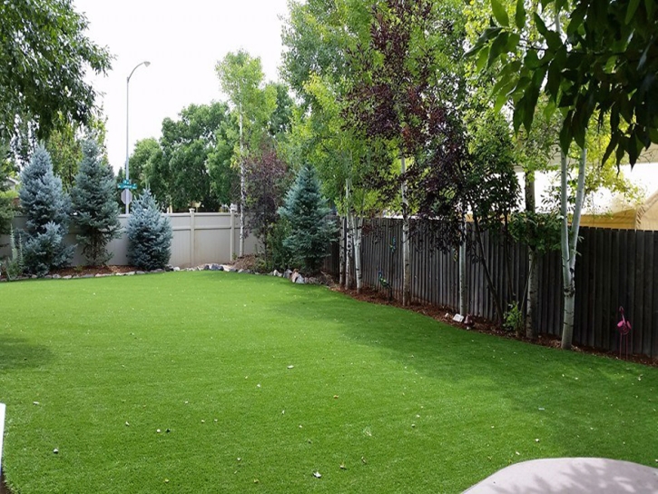 Artificial Grass Carpet San Juan Capistrano, California Landscape Ideas, Backyard Landscaping