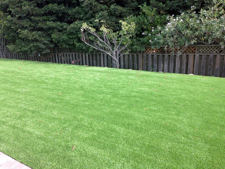 Artificial Grass Carpet Seal Beach, California Landscape Design, Backyards
