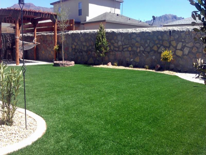 Artificial Grass Carpet Tustin, California City Landscape, Backyard