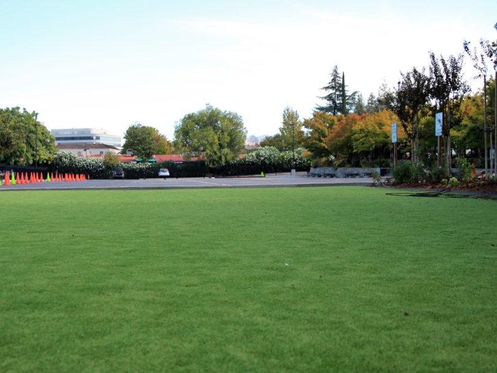 Artificial Grass Installation Laguna Woods, California Design Ideas