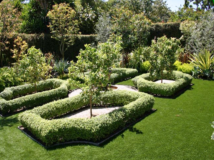 Artificial Grass Laguna Beach, California Backyard Playground