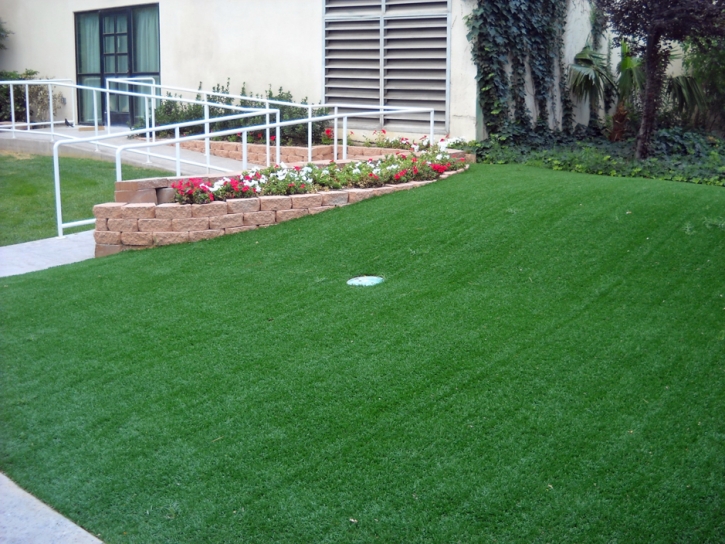 Artificial Grass Laguna Niguel, California Putting Green Carpet, Front Yard Ideas