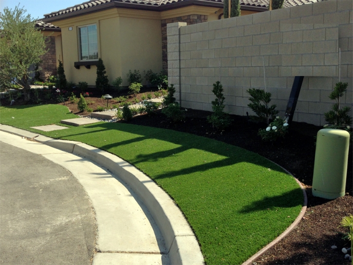 Artificial Grass Placentia, California Home And Garden, Front Yard Landscaping