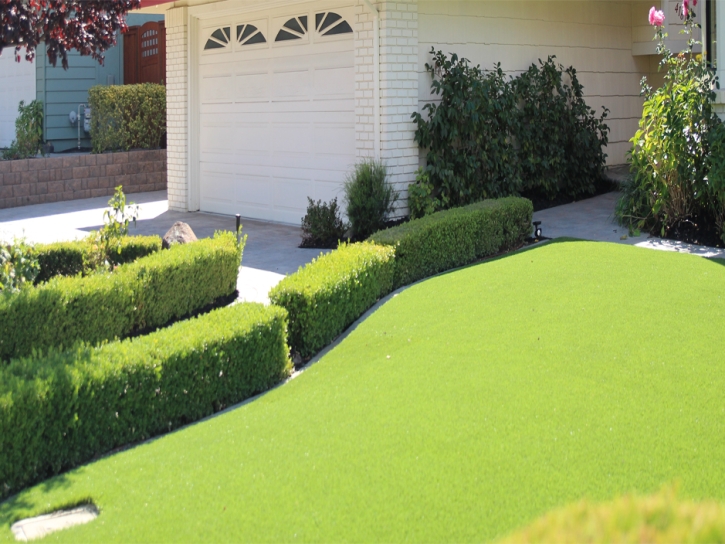 Artificial Lawn Dana Point, California Lawn And Landscape, Front Yard Landscape Ideas