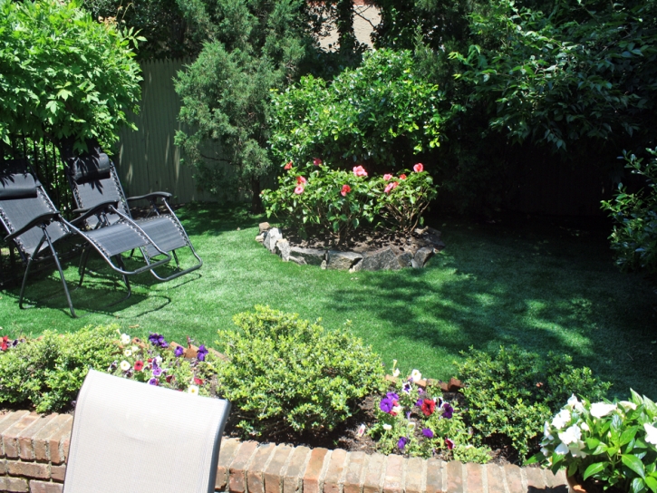 Artificial Lawn Foothill Ranch, California Landscaping Business, Backyard Landscaping