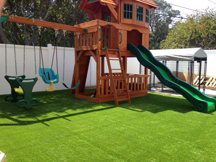 Artificial Lawn Fullerton, California Landscaping Business, Backyard Design