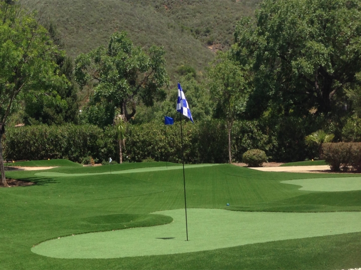 Artificial Lawn La Habra, California Putting Green Turf