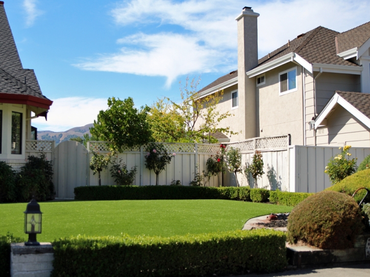 Artificial Lawn Laguna Beach, California Paver Patio, Front Yard