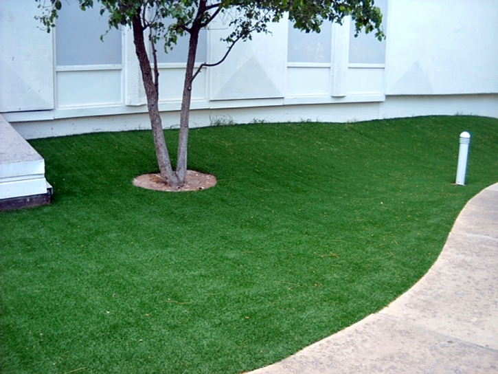 Artificial Lawn Mission Viejo, California Landscape Rock, Commercial Landscape