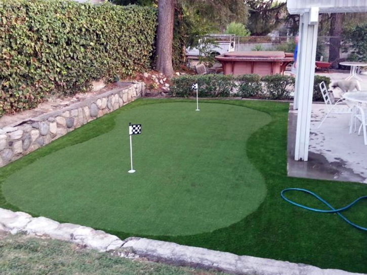 Artificial Lawn Newport Beach, California Diy Putting Green, Backyard Garden Ideas