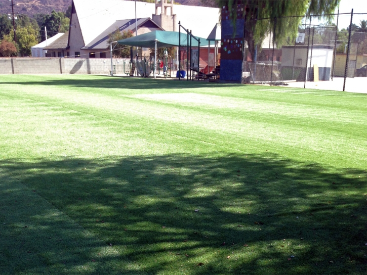 Artificial Turf Cost Anaheim, California Eco Friendly Products, Parks