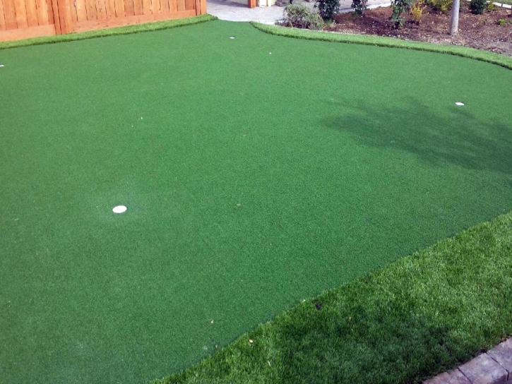 Artificial Turf Cost Coto De Caza, California Home And Garden