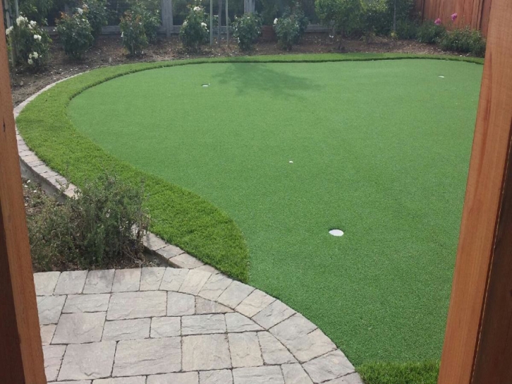 Artificial Turf Cost Garden Grove, California Putting Green Carpet, Backyard Landscaping Ideas