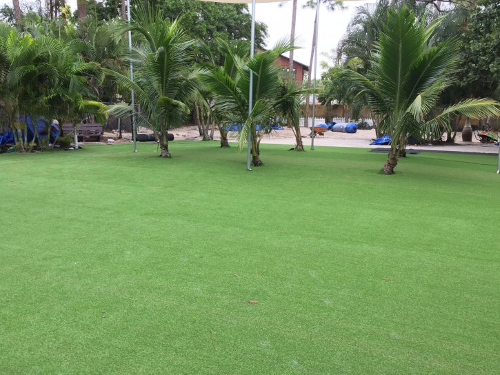 Artificial Turf Cost Ladera Ranch, California Landscape Ideas, Commercial Landscape