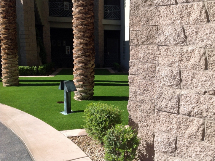 Artificial Turf Cost Westminster, California City Landscape, Commercial Landscape